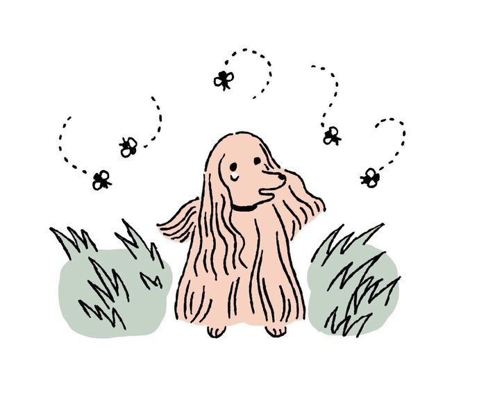 イラスト/Yu Tokumaru