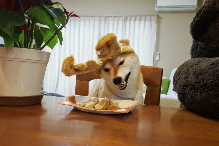 うまうま