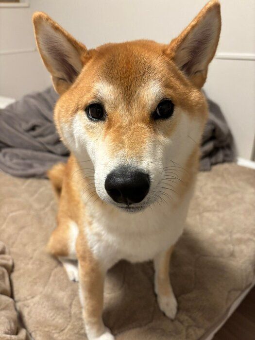 ��Ĺ�����쥪�󤯤�