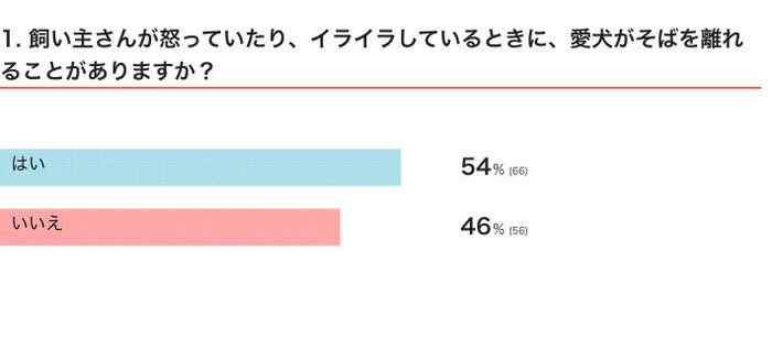 飼い主さんが怒っていたり、イライラしているときに、愛犬がそばを離れることがある？