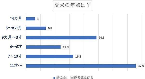 愛犬の年齢は?
