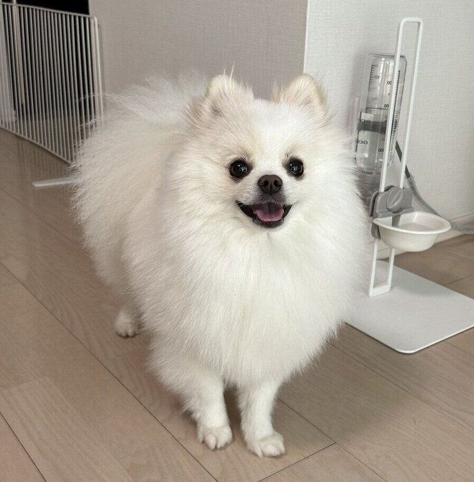 ニコニコ笑顔の天くん