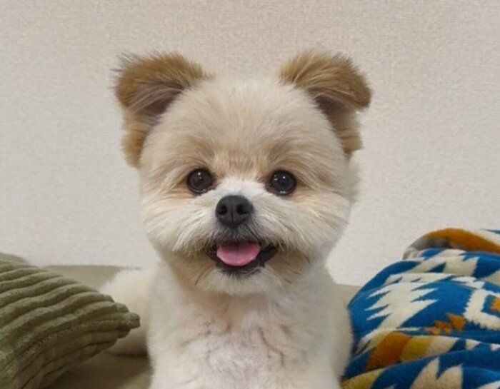 ニコニコ顔のちくわくん