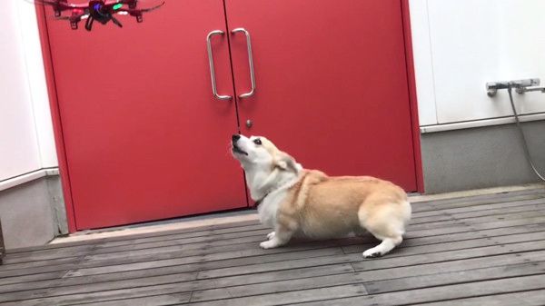 ドローン