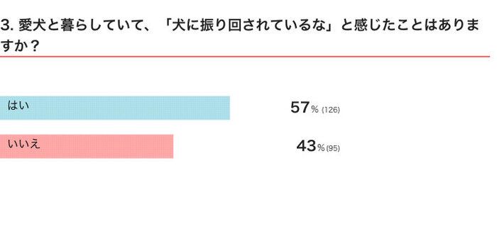 いぬのきもちWEB MAGAZINE 「犬飼いあるある」に関するアンケートvol.13