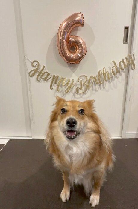 ��������ޤ������Υ�Ƥ����