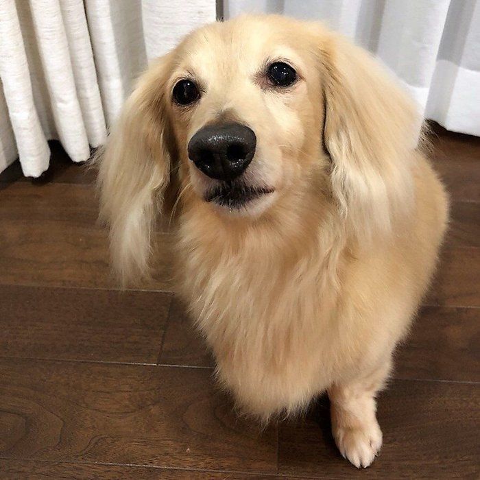 どや顔