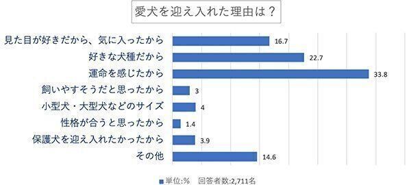 愛犬を迎え入れた理由は?