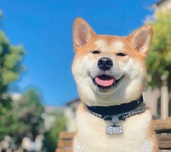 笑顔がかわいいめんまくん