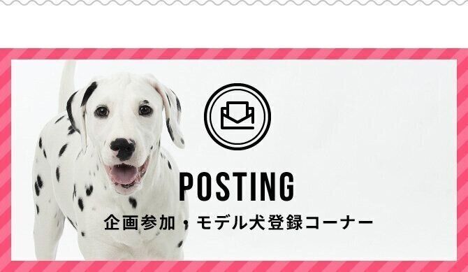 参加企画・モデル犬投稿コーナー