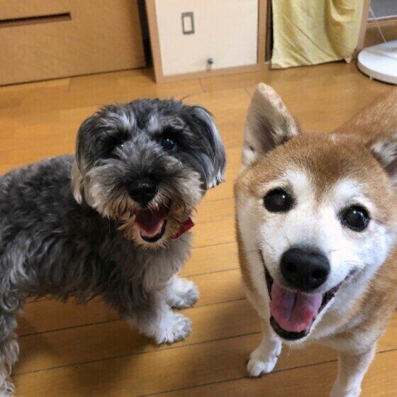 2歳と15歳