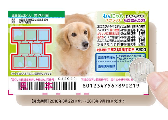 かわいくて手軽に楽しめると話題!「わんにゃんスクラッチ」って?