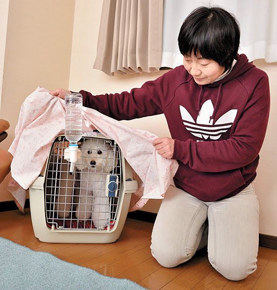 クレートに布