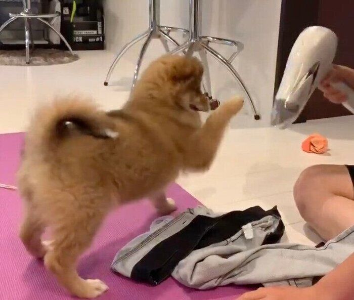 ���ܥ�򴥤����Ƥ���ɥ饤�䡼���襤��ĩ���Ƥ����