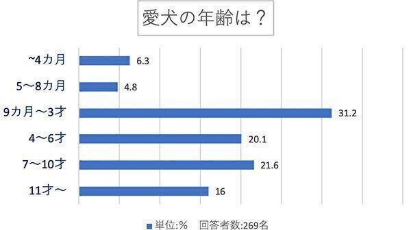 愛犬の年齢は?