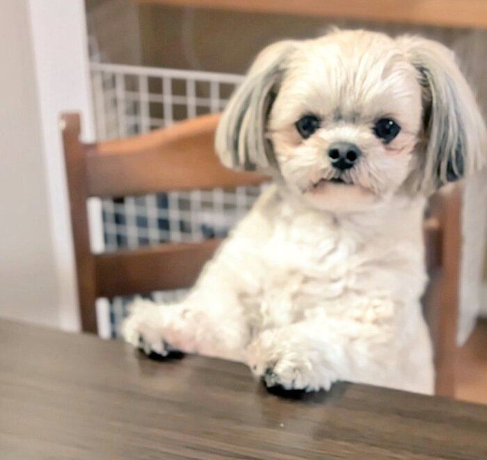 2才になった楽くん