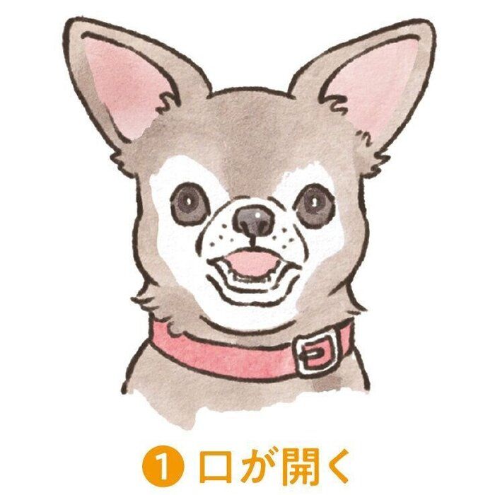 イラスト／フジマツミキ