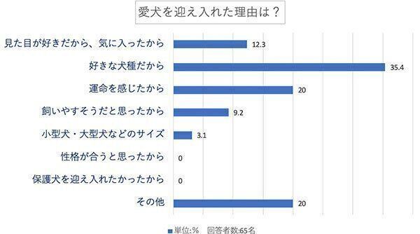 愛犬を迎え入れた理由は?