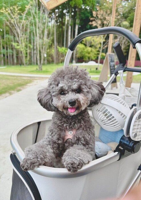 ���Ф�����Υ��ޤ����