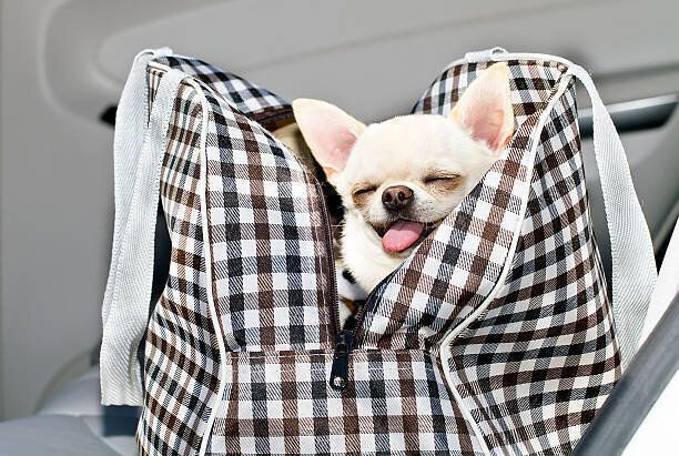 トンナーラのバッグでのお席