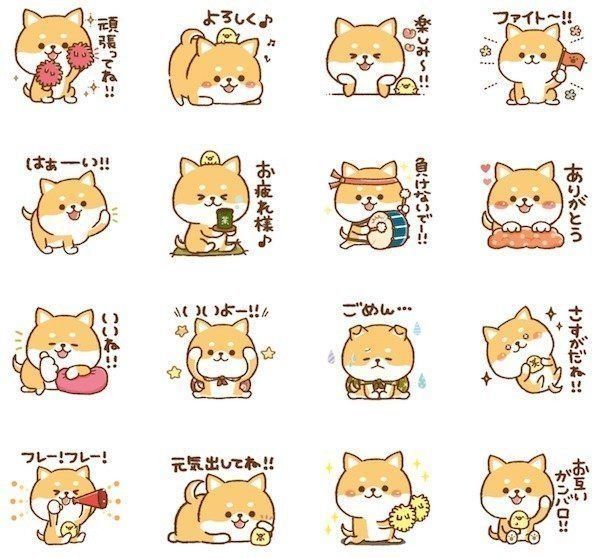 「応援♡かわいいかまってチビ柴 その8」