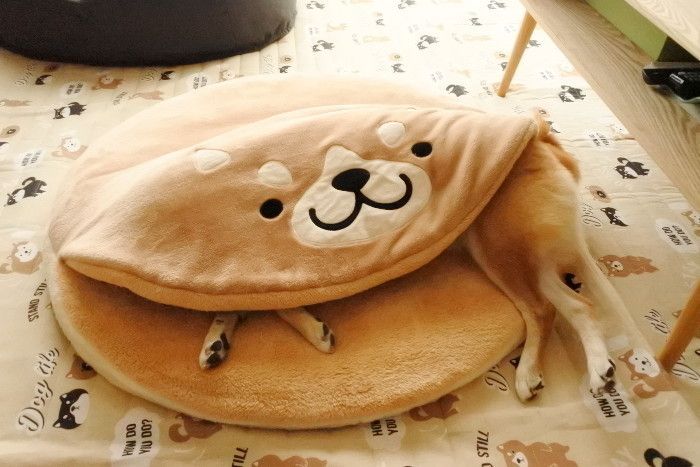しまろんどら