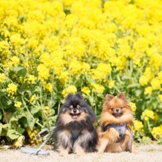 皮膚の病気は春から増える?カユカユにならない予防方法