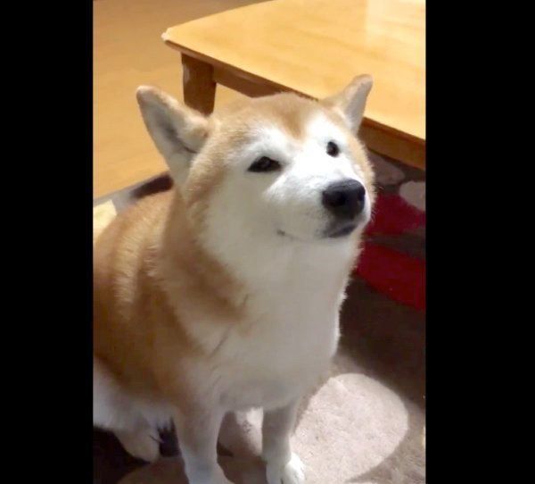 エアコンを見つめるロペさん