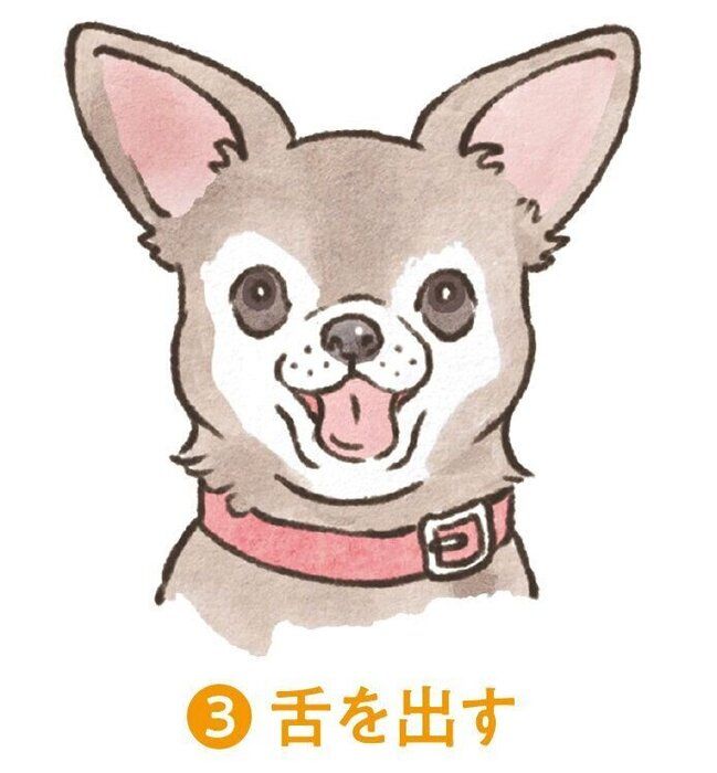 イラスト／フジマツミキ