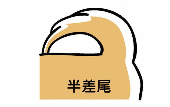 半差尾