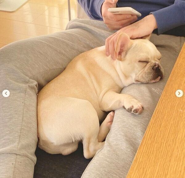 まったりするみたらしくん