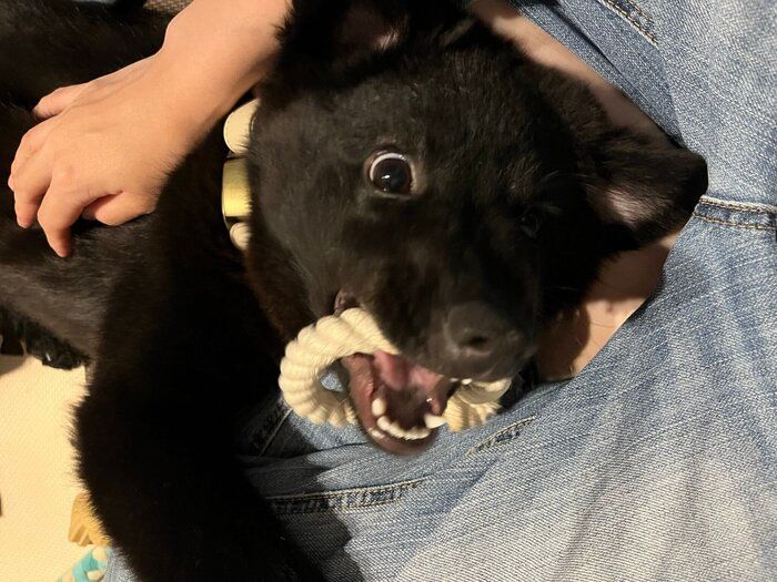 ��������ͷ�֥����ǥ��󥬡�����