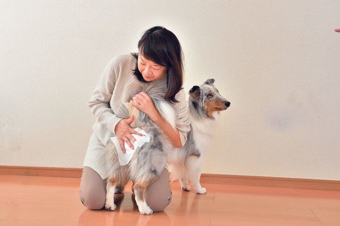 デリケートな部分なので、傷ついたり痛がったりしがち(撮影/佐藤正之)