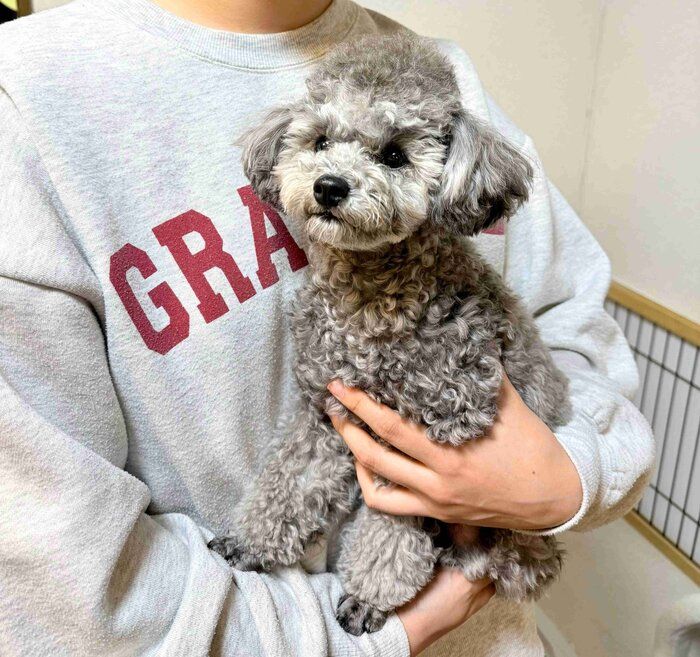 ��1ǯ��Υ��ޤ���󡡻����礵��ˤ��ȡ֤��襤������ȥ����äȤ����ե����פ�̥�ϤʤΤ��Ȥ�