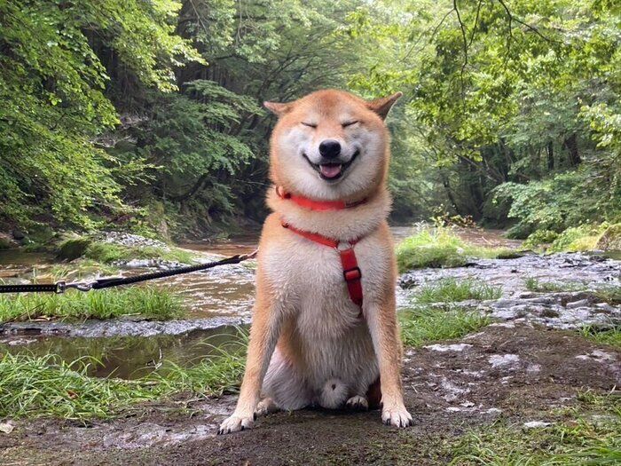 笑顔の岳くん