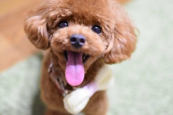 ニコニコだね♪