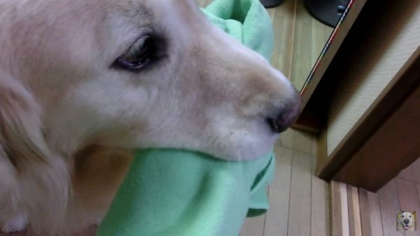 タオル