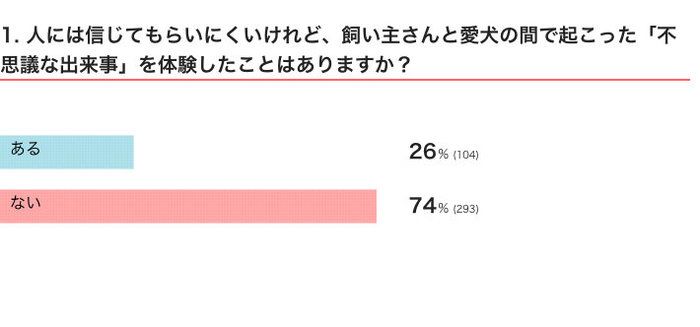 いぬのきもちWEB MAGAZINE 犬との不思議な体験に関するアンケートvol.01