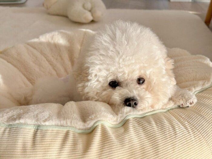 ���ѥ٥åɤ�����Ф��ơ��Ҥʤ��ܤä��򤹤�錄�������