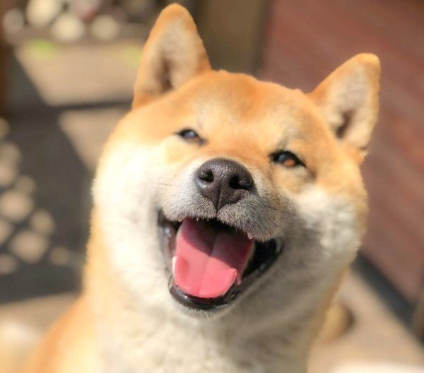 笑顔のそらくん
