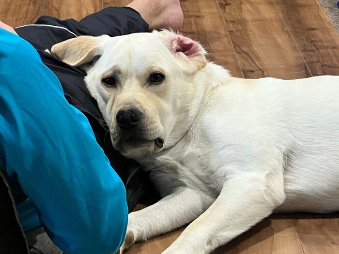 のんびりとした様子のテリーくん