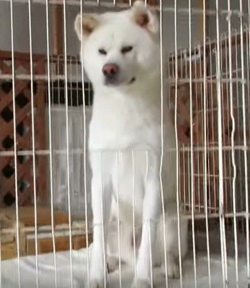 姿勢よく見つめるゆうきくん