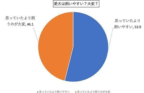 【いぬのきもちWeb】犬の日企画 犬の好きなところアンケート調査(2020年7月実施)