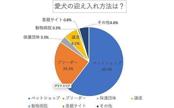 愛犬の迎え入れ方法は?