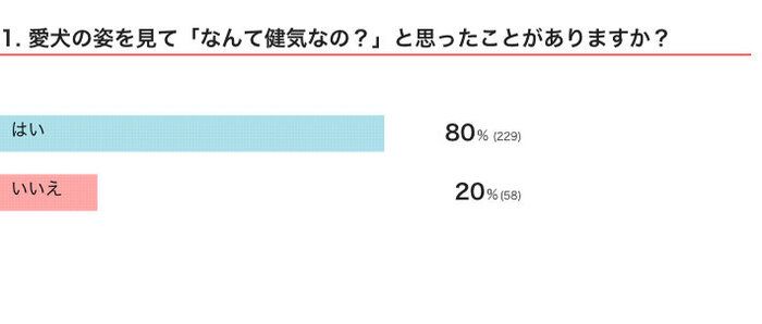 いぬのきもちWEB MAGAZINE 犬の行動に関するアンケートvol.04