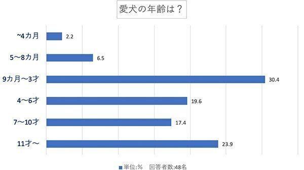 愛犬の年齢は?