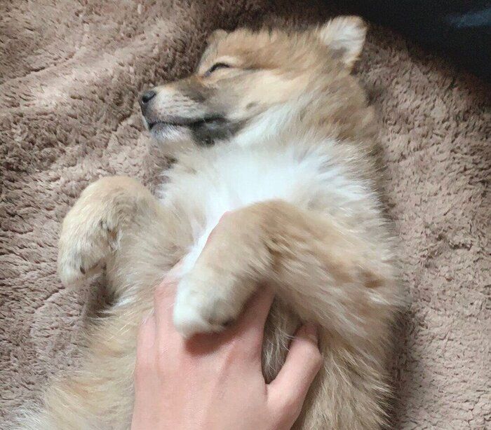 ��ʢ�򸫤��ƿ����Ƥ����