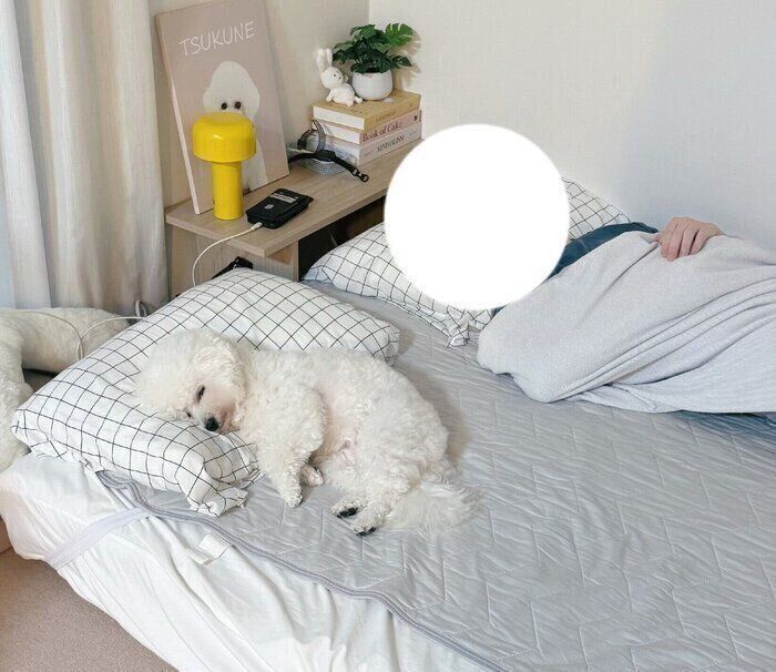 パパさんと並んで眠るつくねちゃん