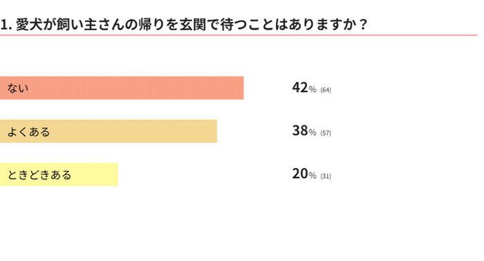 愛犬が飼い主さんの帰りを玄関で待つことはありますか？