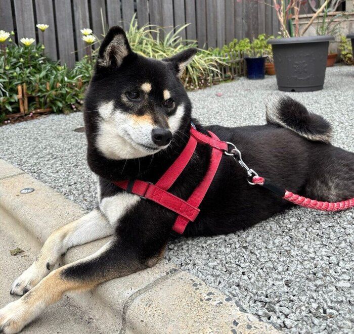 外でまったり中の拓ちゃん